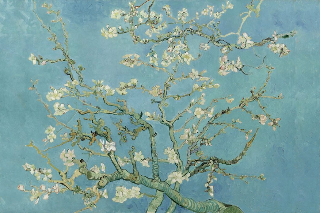 Branches with Almond Blossom