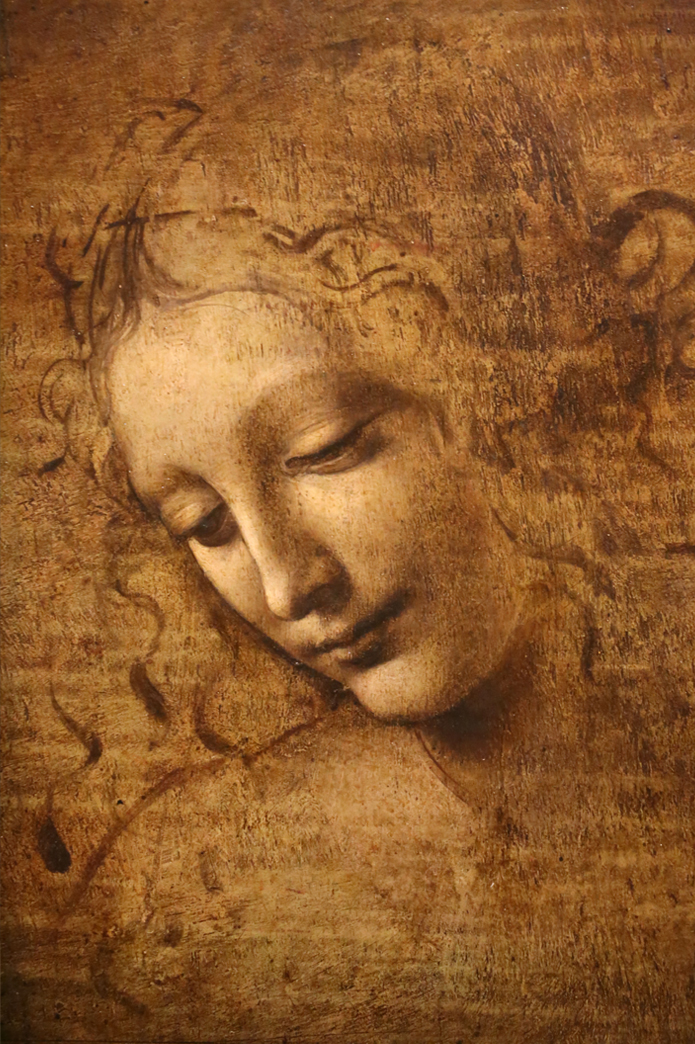 Head of a Woman