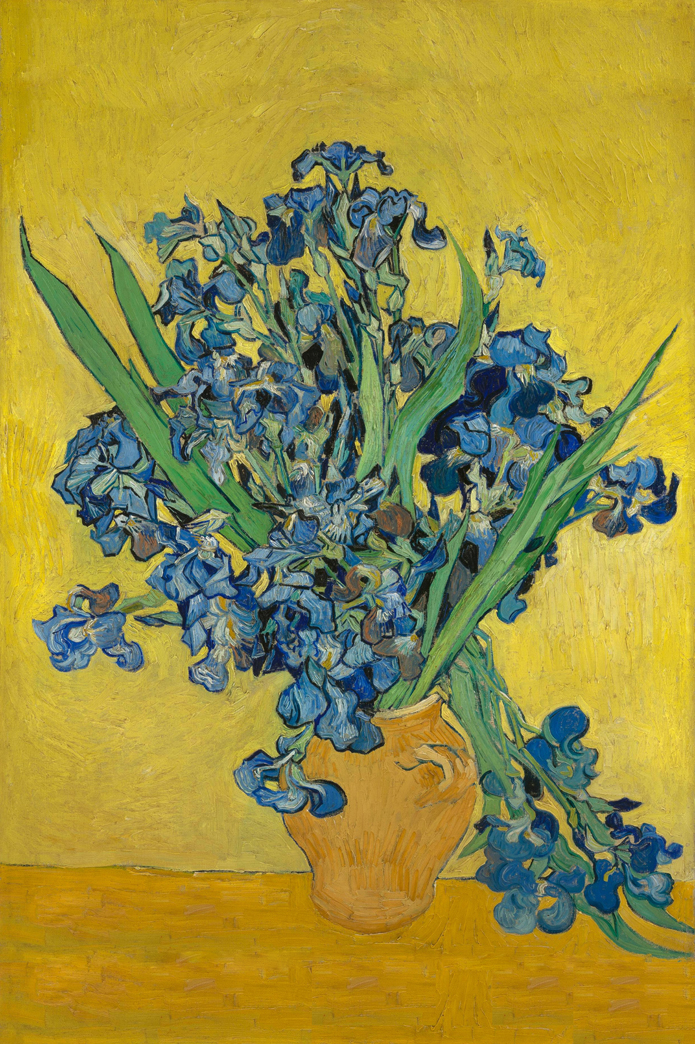 Still Life with Irises